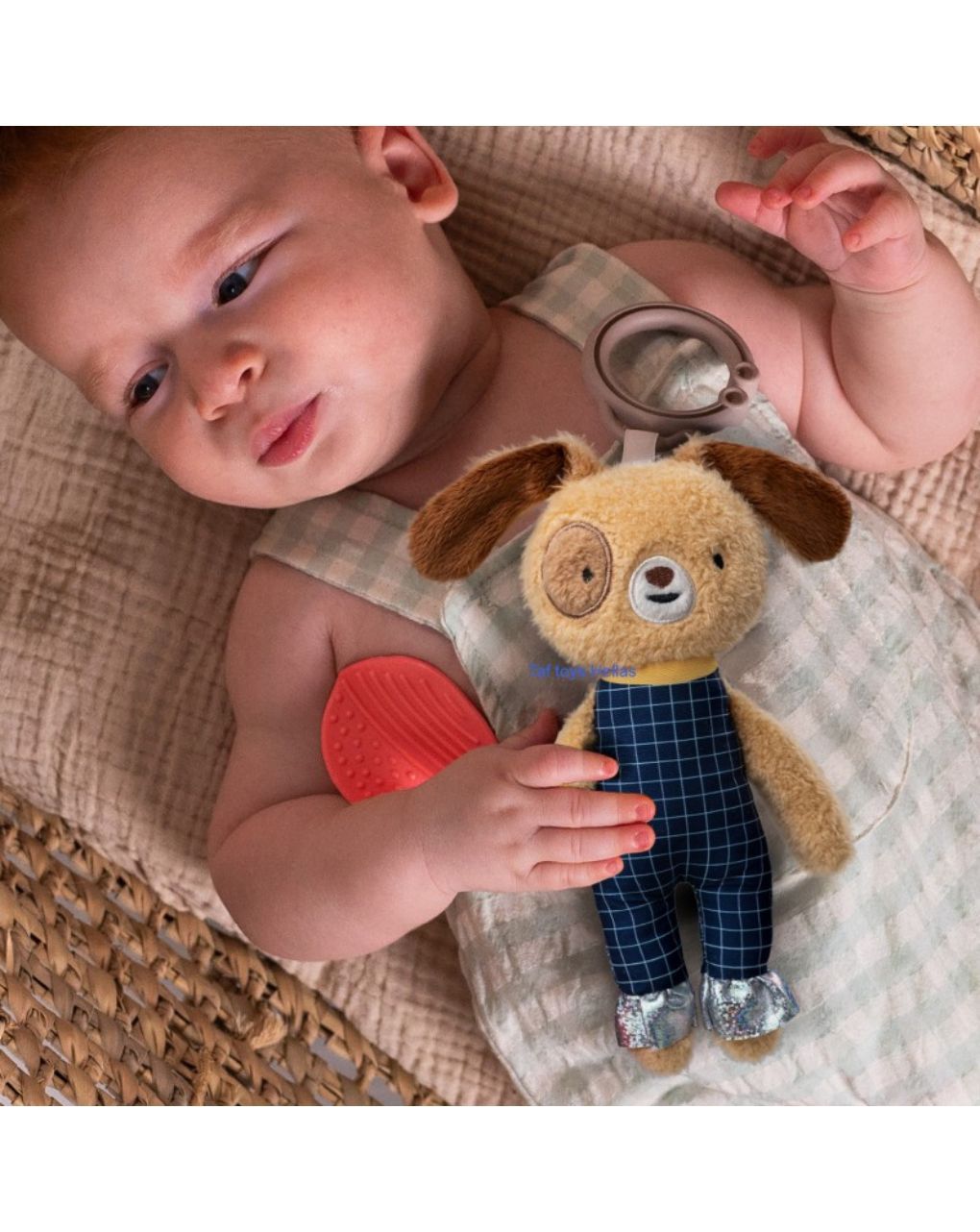 Taf toys κρεμαστό παιχνίδι σκυλάκι daniel activity toy t13535 - Taf-toys