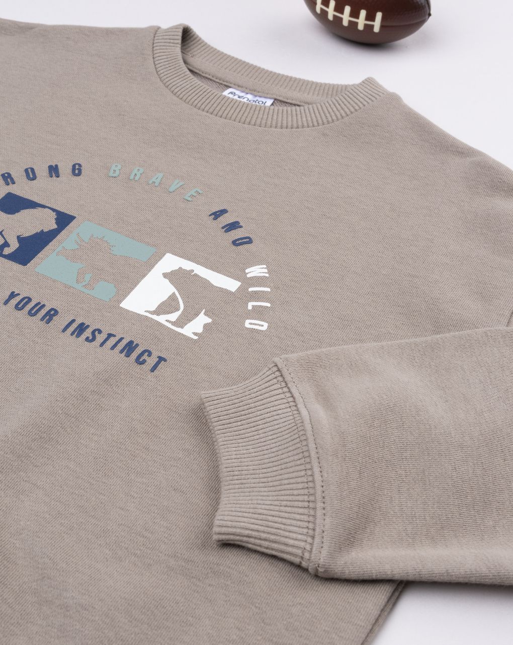 παιδική μπλούζα φούτερ καφέ brave για αγόρι - Prénatal