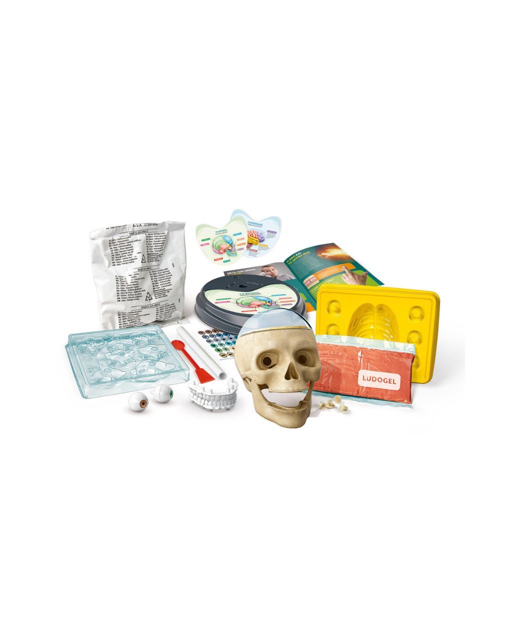 Clementoni μαθαίνω και δημιουργώ lab εκπαιδευτικό παιχνίδι ανατομία για μεγάλα μυαλά 1026-63400 - Clementoni