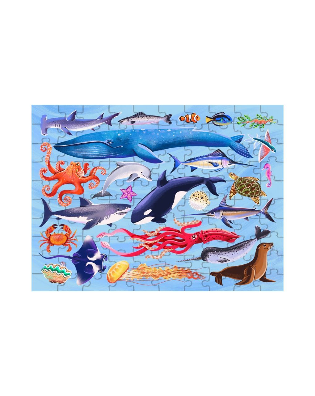 Hinkler παζλ junior jigsaw explore 24: sea creatures jje-3 - HINKLER