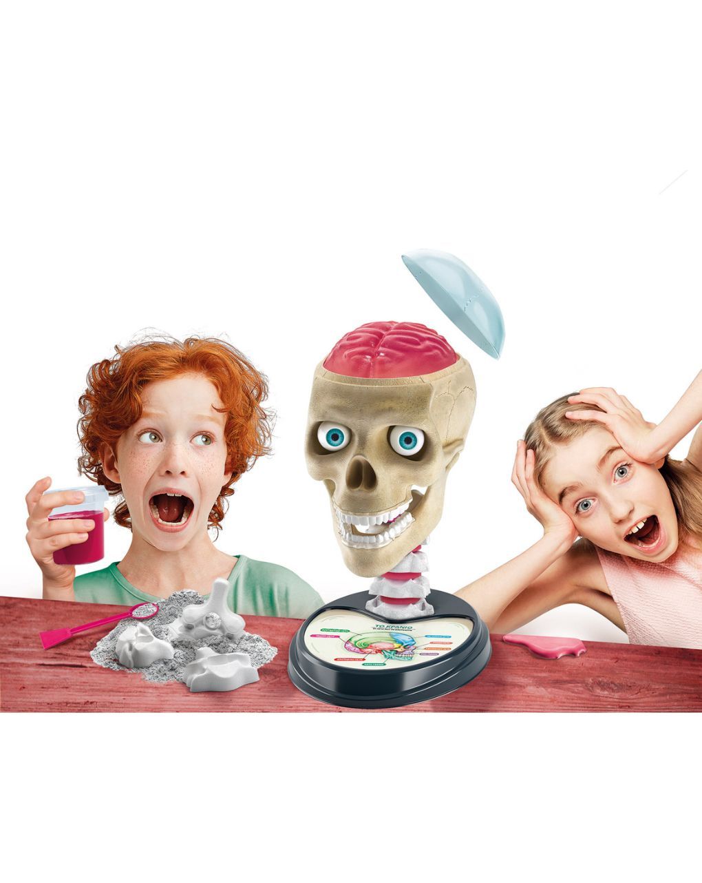 Clementoni μαθαίνω και δημιουργώ lab εκπαιδευτικό παιχνίδι ανατομία για μεγάλα μυαλά 1026-63400 - Clementoni