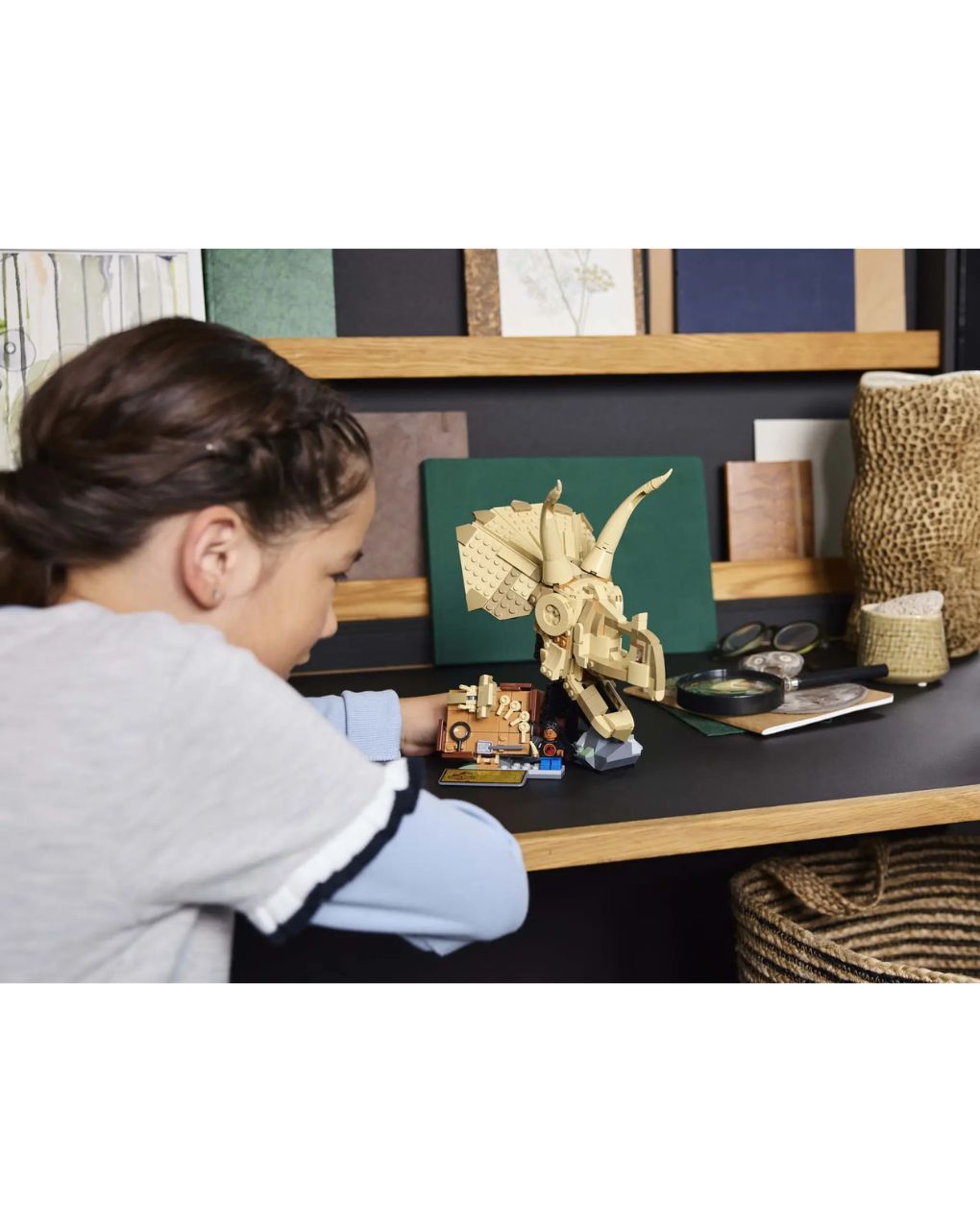 Lego jurassic world dinosaur fossils: triceratops skull 76969 - Lego