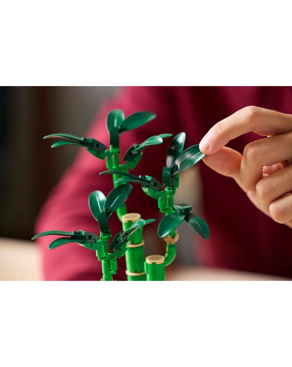 Lego botanical lucky bamboo 10344 - Lego, LEGO ICONS BOTANICAL