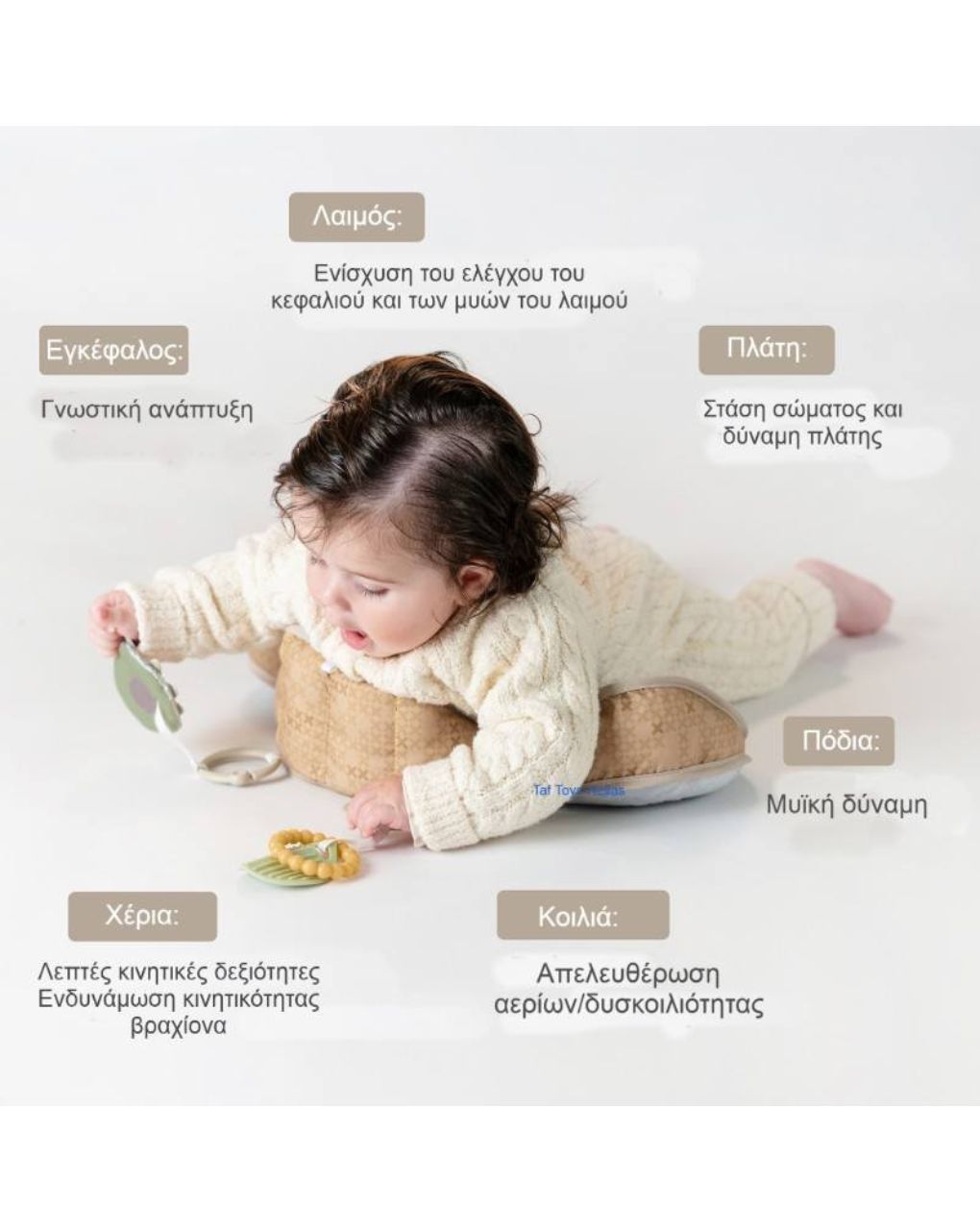 Taf toys bear tummy time pillow t-13715 - Taf-toys