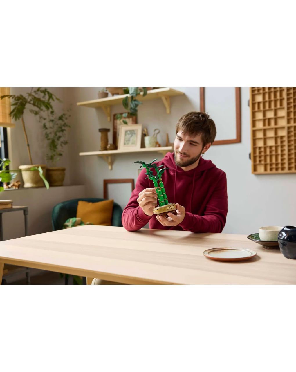 Lego botanical lucky bamboo 10344 - Lego, LEGO ICONS BOTANICAL