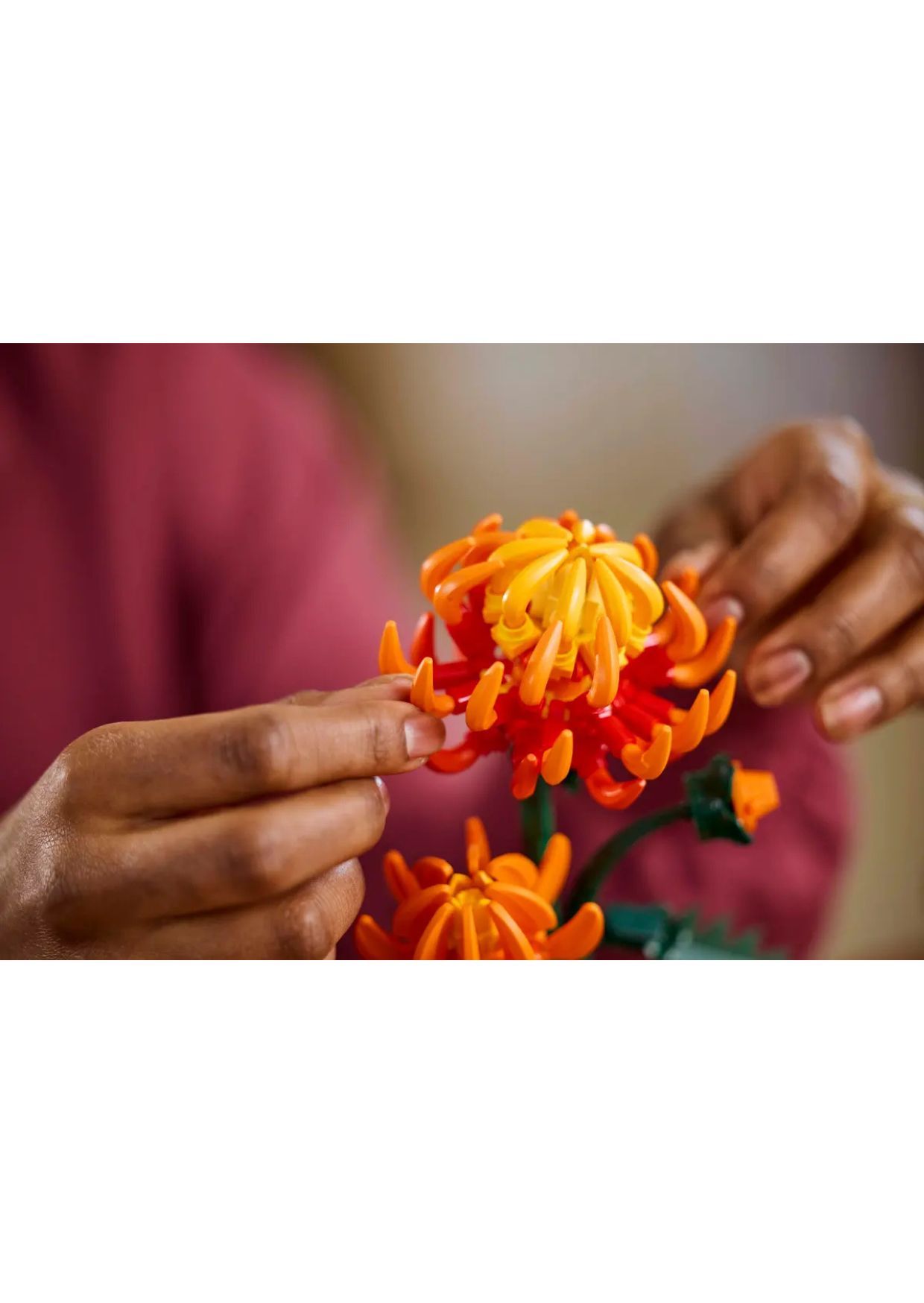 Lego icons botanical chrysanthemum 10368 - Lego, LEGO ICONS BOTANICAL