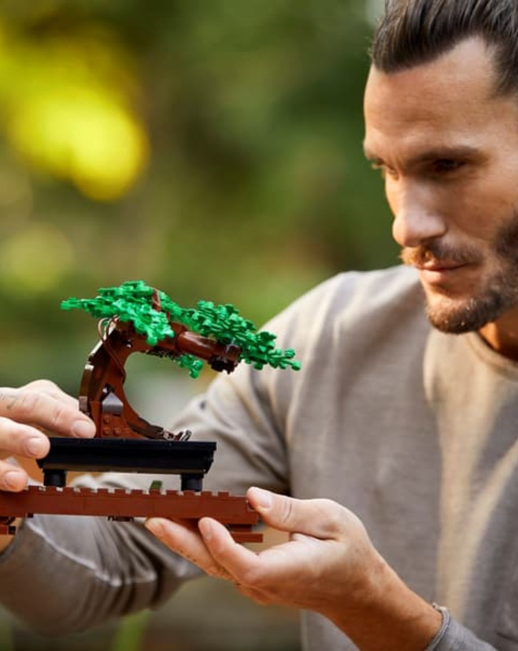 Lego botanical bonsai tree 10281 - LEGO, LEGO Botanical Collection