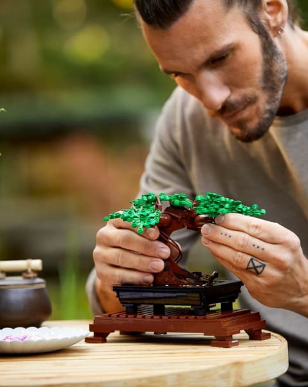 Lego botanical bonsai tree 10281 - LEGO, LEGO Botanical Collection