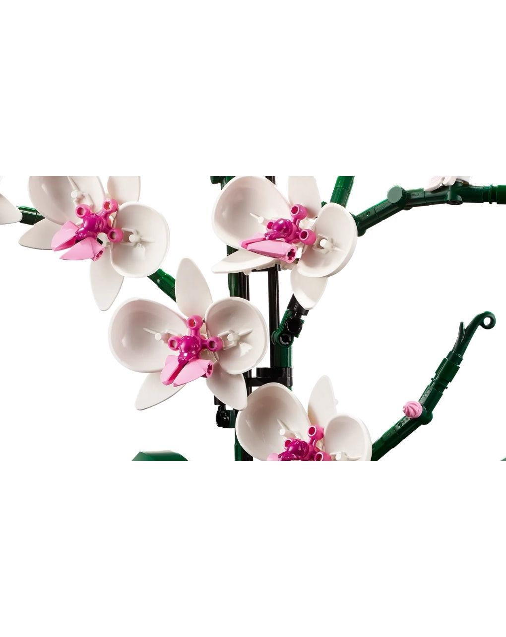 Lego icons botanical orchid 10311 - Lego, LEGO Botanical Collection