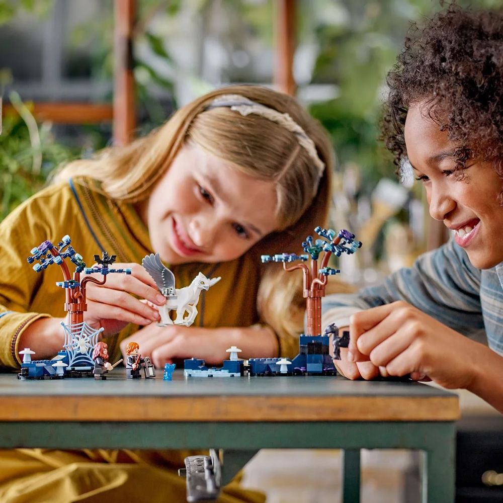 Lego harry potter forbidden magical creatures 76432 - Lego, Lego Harry Potter