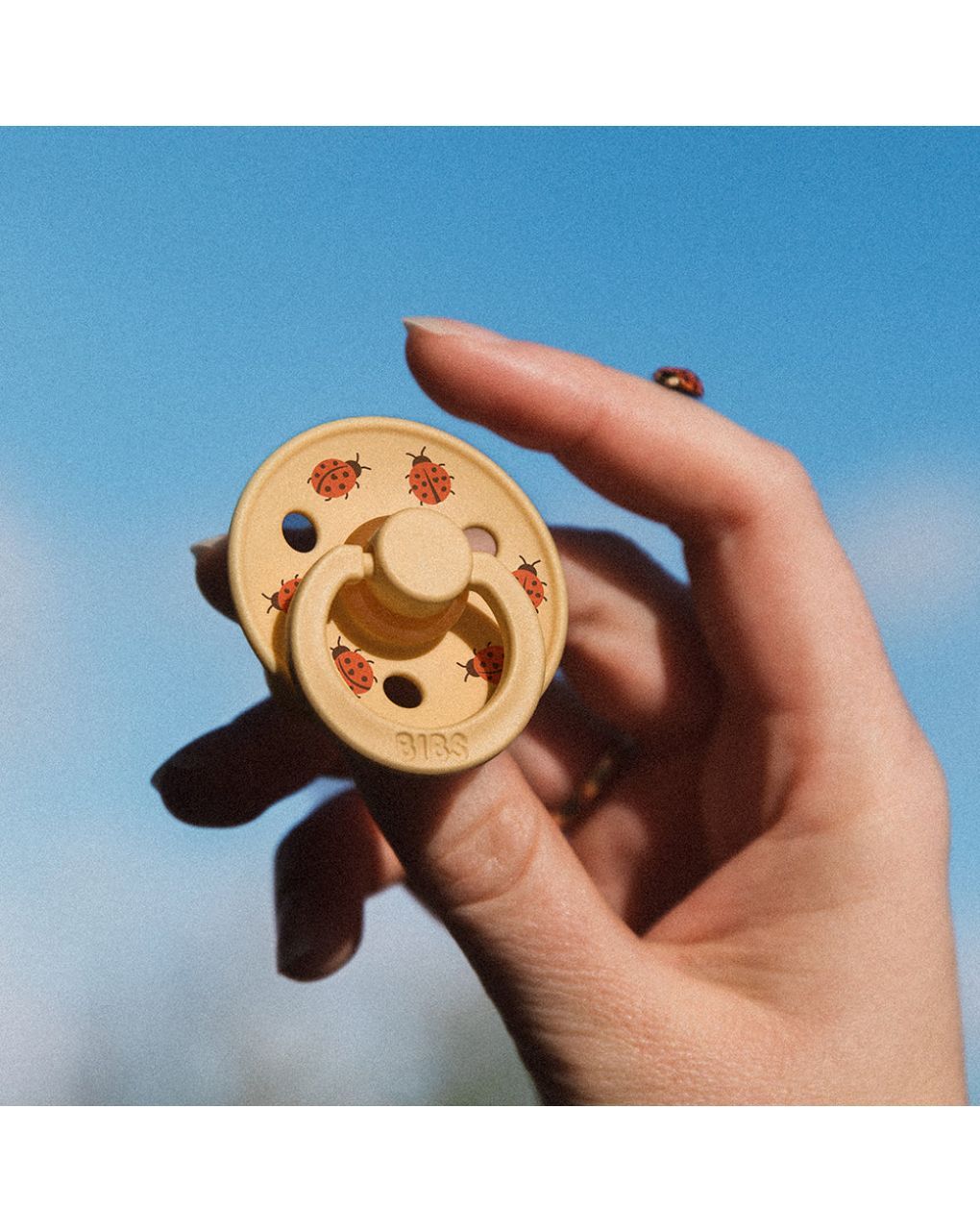 Bibs studio colour σετ πιπίλες latex 0-6m ladybug sage/pale butter 11025102 - BIBS