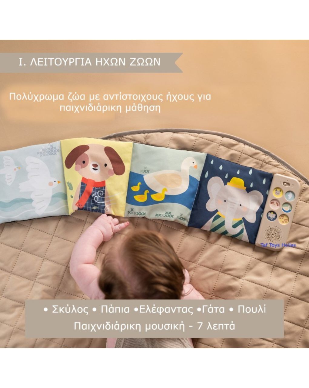 Taf-toys soothing sounds book t13835 - Taf-toys