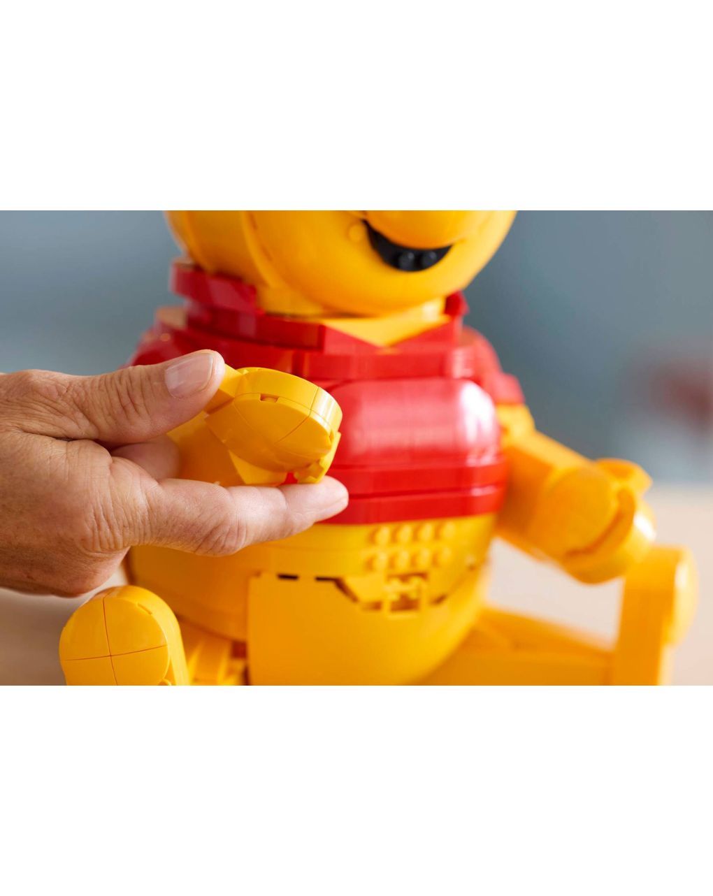 Lego disney winnie the pooh 43300 - LEGO, LEGO Disney