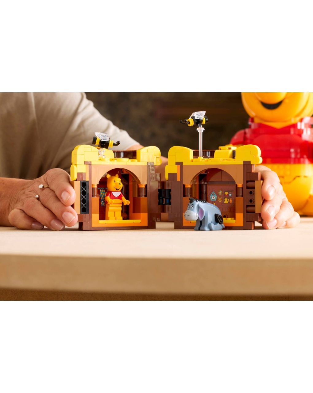 Lego disney winnie the pooh 43300 - LEGO, LEGO Disney