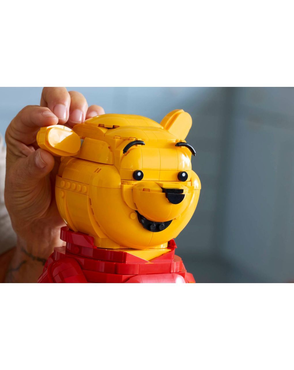 Lego disney winnie the pooh 43300 - LEGO, LEGO Disney