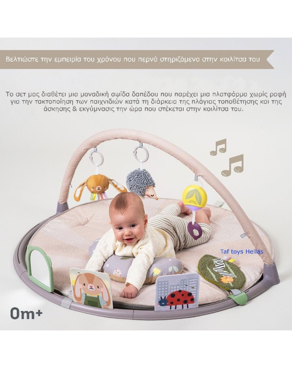 Taf-toys tummy time play gym t-13395 - Taf-toys