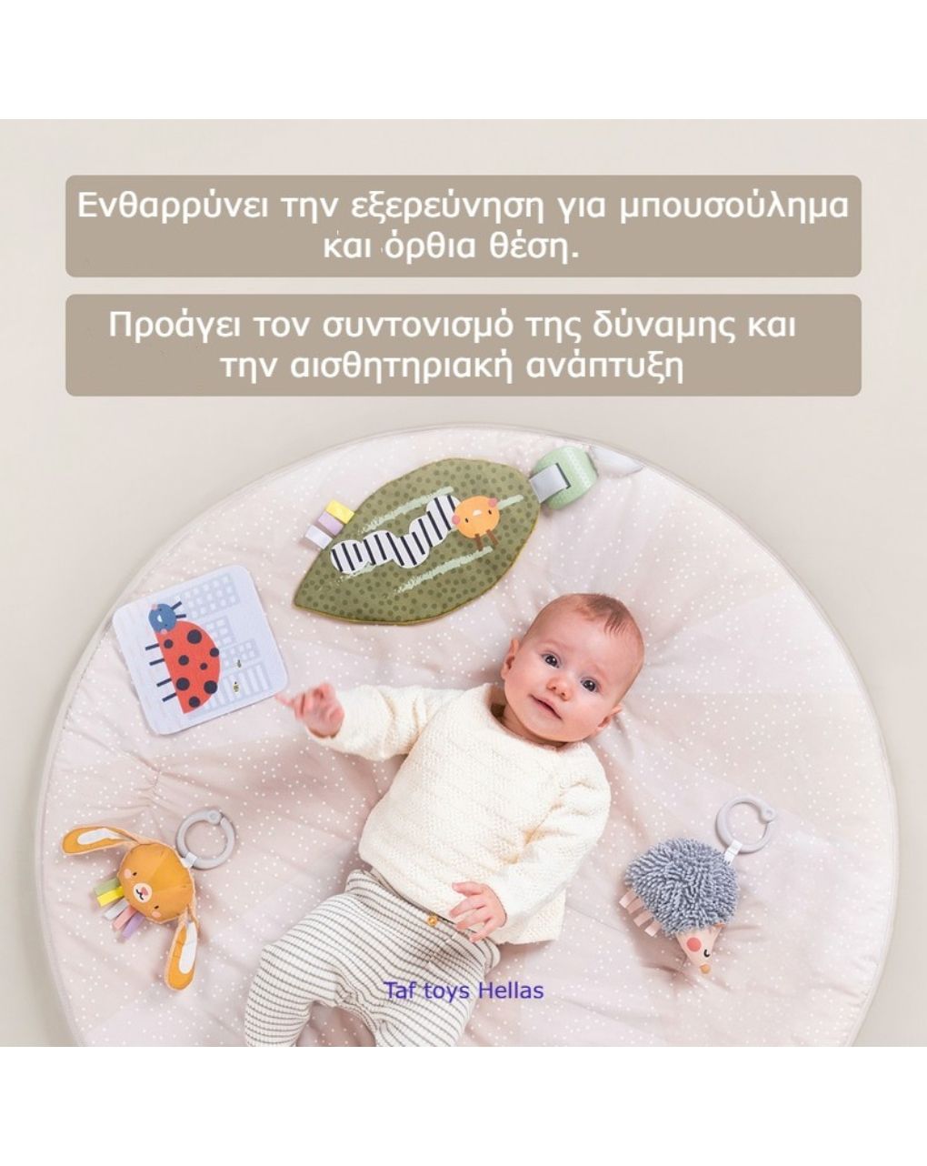 Taf-toys tummy time play gym t-13395 - Taf-toys