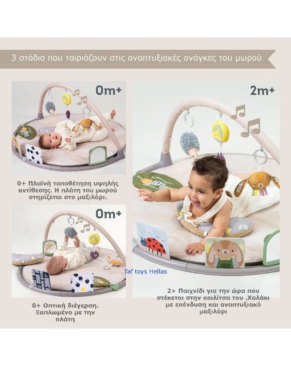 Taf-toys tummy time play gym t-13395 - Taf-toys