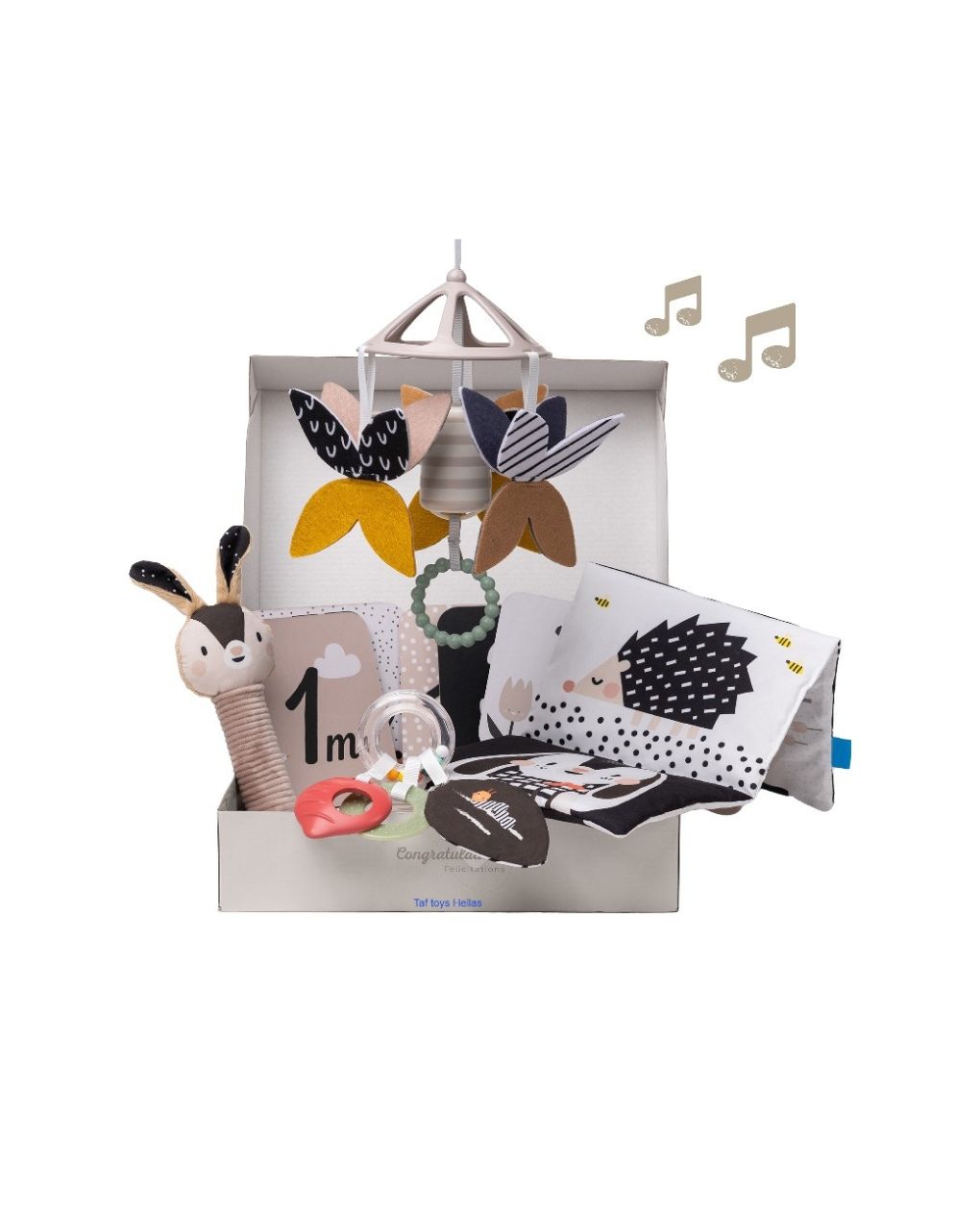 Taf-toys newborn black & white kit t-13475