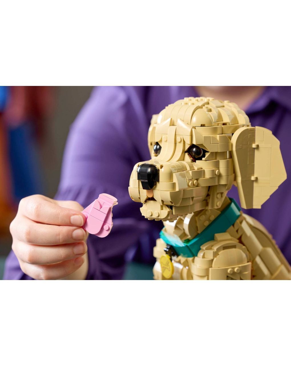 Lego icons golden retriever puppy 11384 - LEGO, LEGO Icons