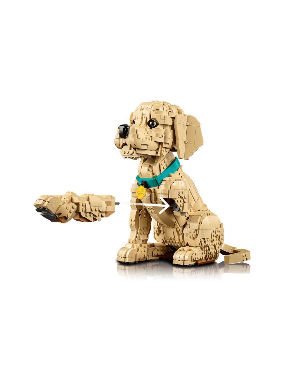 Lego icons golden retriever puppy 11384 - LEGO, LEGO Icons