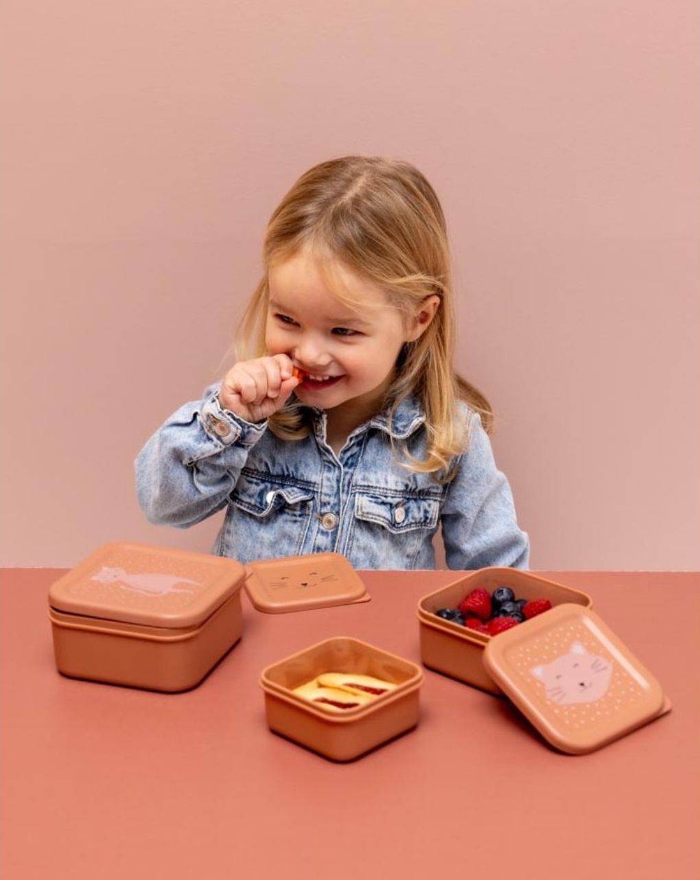 Trixie σετ φαγητοδοχεία snack box nesting 3τμχ mrs cat t05222 - TRIXIE