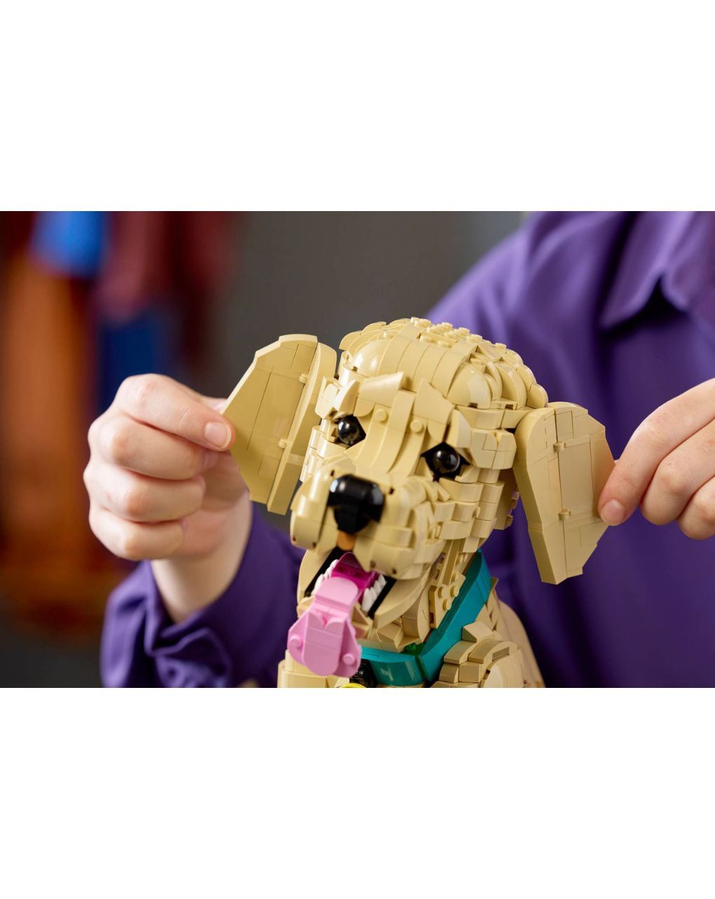 Lego icons golden retriever puppy 11384 - LEGO, LEGO Icons