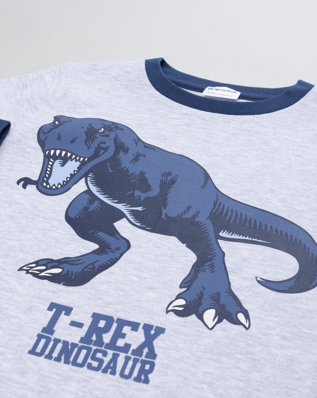 παιδική πιτζάμα γκρι/μπλε ριγέ με t-rex για αγόρι - Prénatal